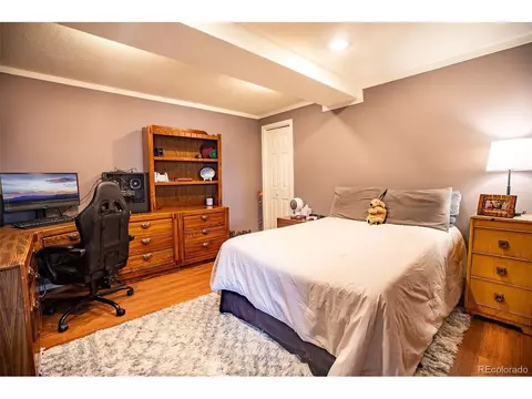 653 Bonell Dr, Fairplay, CO 80440 photo 36