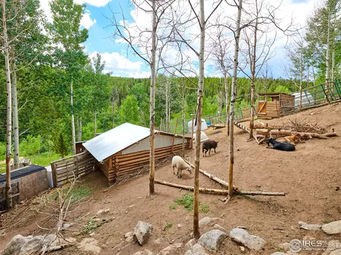 229 Bowles Ranch Rd, Black Hawk, CO 80422 photo 34