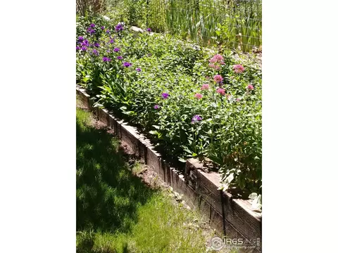 3900 Britting Ave, Boulder, CO 80305 photo 25