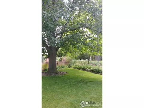 3900 Britting Ave, Boulder, CO 80305 photo 28
