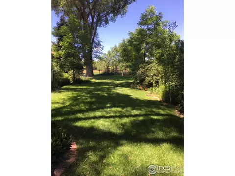 7718 Valmont Dr, Boulder, CO 80301 photo 18