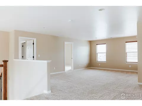 5906 Graphite St, Timnath, CO 80547 photo 18