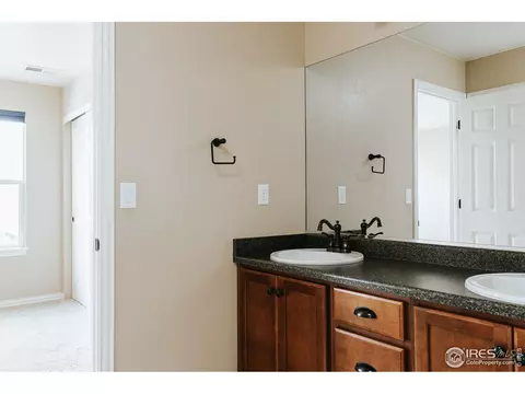 5906 Graphite St, Timnath, CO 80547 photo 23