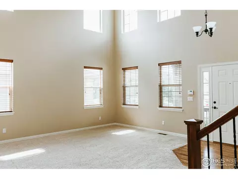 5906 Graphite St, Timnath, CO 80547 photo 4