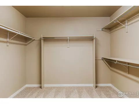 5906 Graphite St, Timnath, CO 80547 photo 25