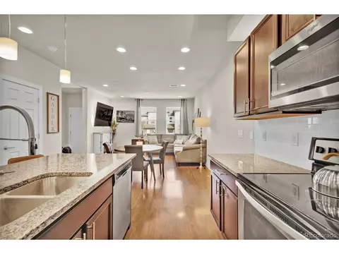 16042 E 47th Pl, Denver, CO 80239 photo 10