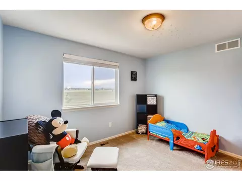 268 Pinebrook Ct, Windsor, CO 80550 photo 30
