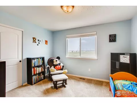 268 Pinebrook Ct, Windsor, CO 80550 photo 28