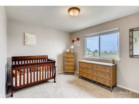 268 Pinebrook Ct, Windsor, CO 80550 photo 22