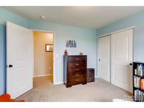 268 Pinebrook Ct, Windsor, CO 80550 photo 29