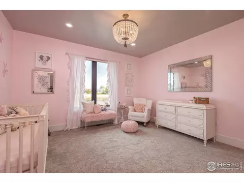 1853 E Seadrift Dr, Windsor, CO 80550 photo 10