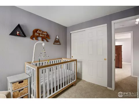 5417 W 115th Loop, Westminster, CO 80020 photo 24