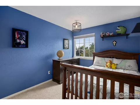 5417 W 115th Loop, Westminster, CO 80020 photo 26