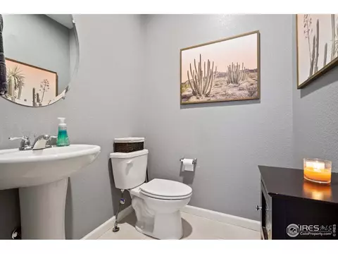 8261 White Owl Ct, Windsor, CO 80550 photo 6
