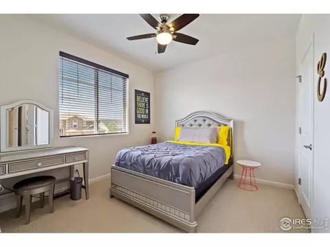 8261 White Owl Ct, Windsor, CO 80550 photo 29