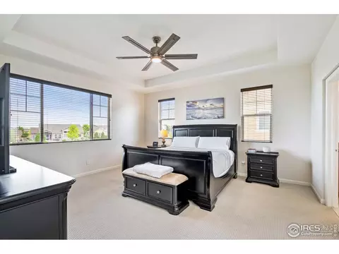 8261 White Owl Ct, Windsor, CO 80550 photo 20