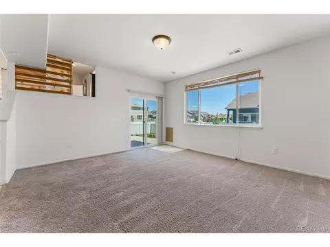 538 El Diente Ave, Windsor, CO 80550 photo 14