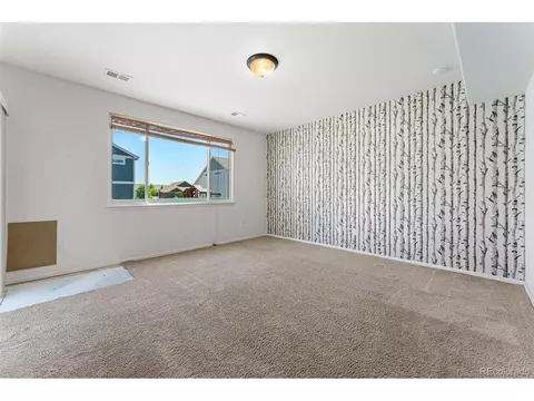 538 El Diente Ave, Windsor, CO 80550 photo 13