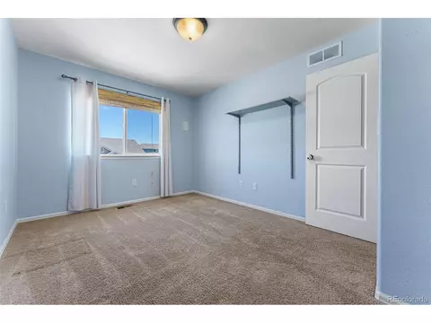 538 El Diente Ave, Windsor, CO 80550 photo 22