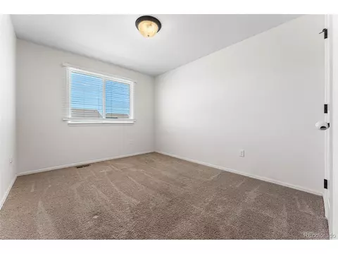 538 El Diente Ave, Windsor, CO 80550 photo 23