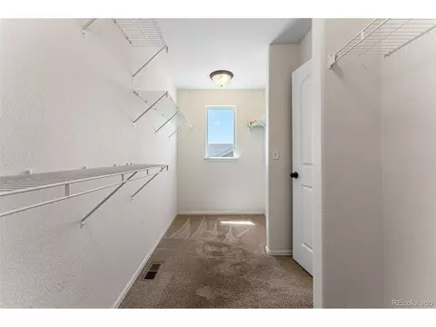 538 El Diente Ave, Windsor, CO 80550 photo 21