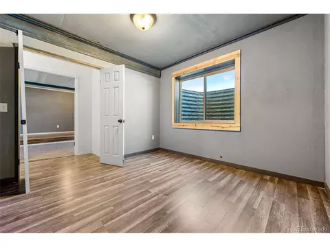 538 El Diente Ave, Windsor, CO 80550 photo 27