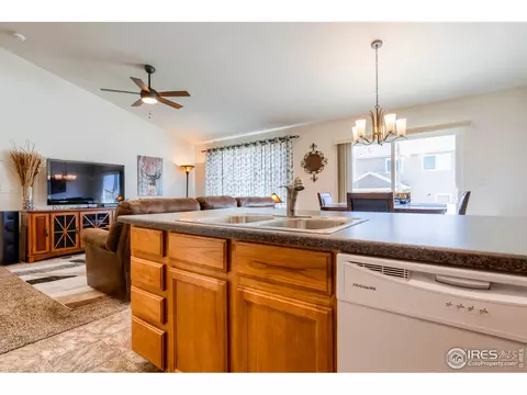 731 Elk Mountain Dr, Windsor, CO 80550 photo 19