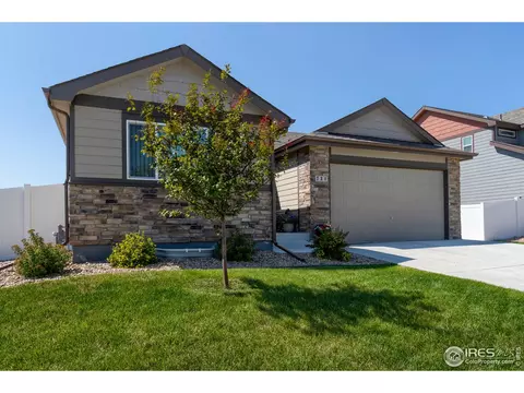731 Elk Mountain Dr, Windsor, CO 80550 photo 3