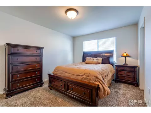 731 Elk Mountain Dr, Windsor, CO 80550 photo 30
