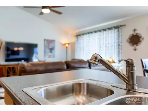 731 Elk Mountain Dr, Windsor, CO 80550 photo 24