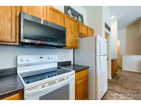 731 Elk Mountain Dr, Windsor, CO 80550 photo 20