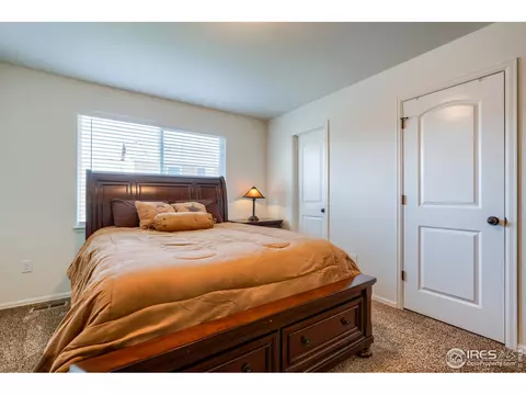 731 Elk Mountain Dr, Windsor, CO 80550 photo 31