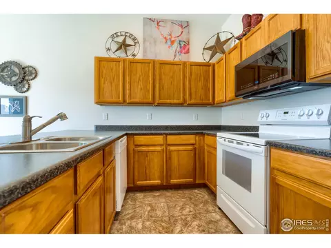 731 Elk Mountain Dr, Windsor, CO 80550 photo 23