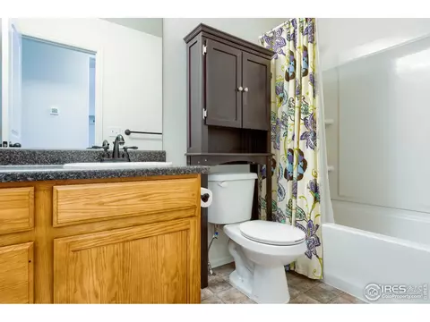 731 Elk Mountain Dr, Windsor, CO 80550 photo 27