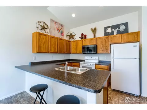 731 Elk Mountain Dr, Windsor, CO 80550 photo 16