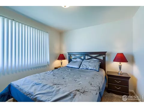 731 Elk Mountain Dr, Windsor, CO 80550 photo 25