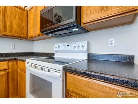 731 Elk Mountain Dr, Windsor, CO 80550 photo 21