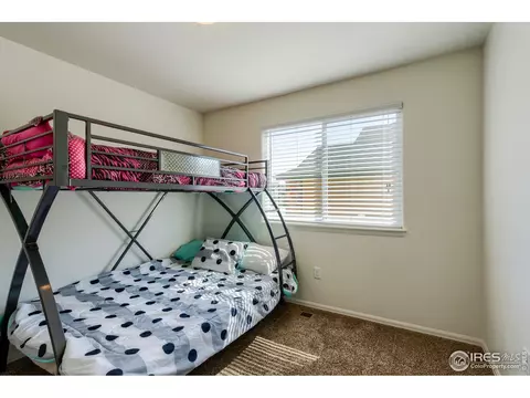 731 Elk Mountain Dr, Windsor, CO 80550 photo 28