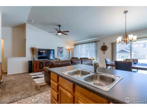 731 Elk Mountain Dr, Windsor, CO 80550 photo 22