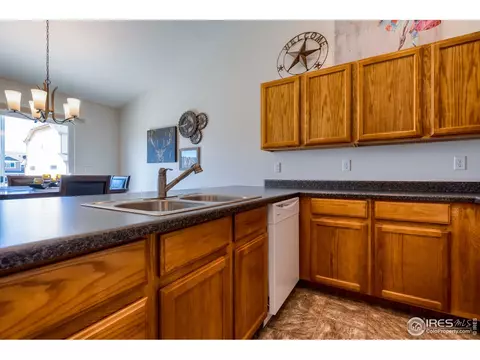 731 Elk Mountain Dr, Windsor, CO 80550 photo 18