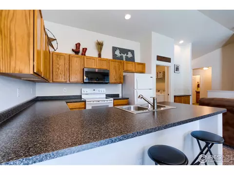 731 Elk Mountain Dr, Windsor, CO 80550 photo 17