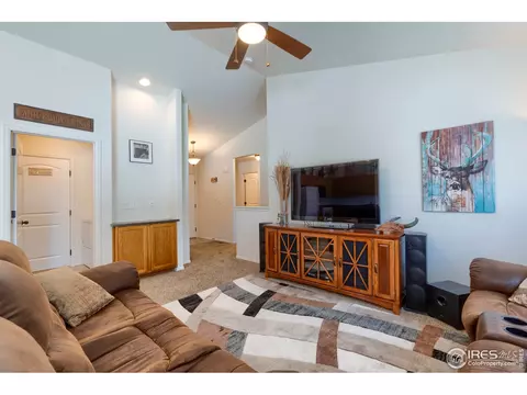 731 Elk Mountain Dr, Windsor, CO 80550 photo 8