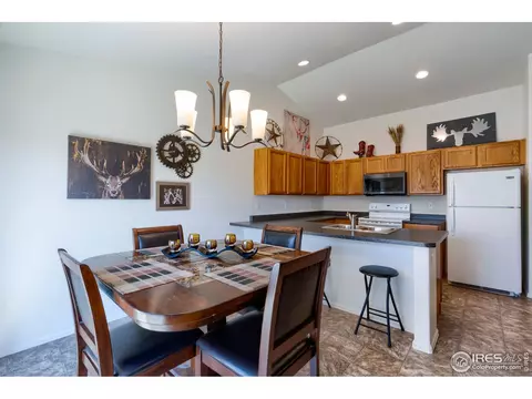 731 Elk Mountain Dr, Windsor, CO 80550 photo 15
