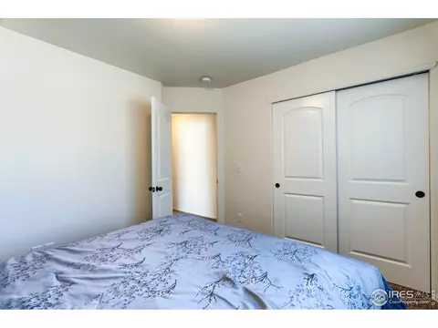 731 Elk Mountain Dr, Windsor, CO 80550 photo 26