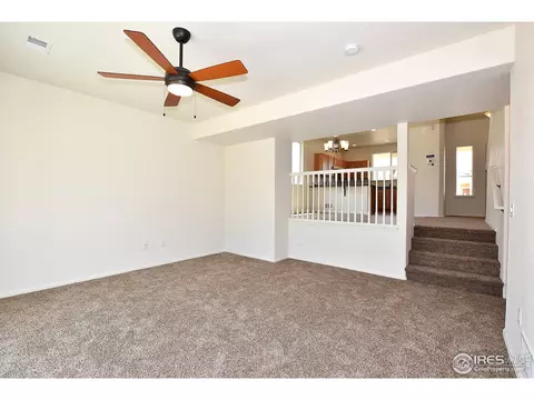 1101 Tur St, Severance, CO 80550 photo 33