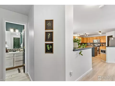 885 Bluegrass Way, Windsor, CO 80550 photo 10