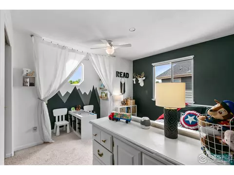 885 Bluegrass Way, Windsor, CO 80550 photo 16