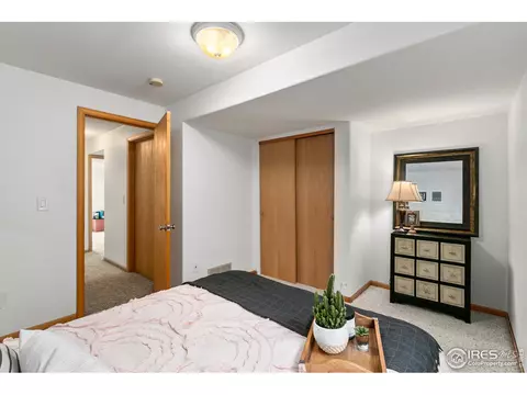 885 Bluegrass Way, Windsor, CO 80550 photo 23