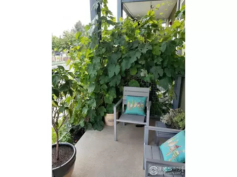 4675 14th St, Boulder, CO 80304 photo 36