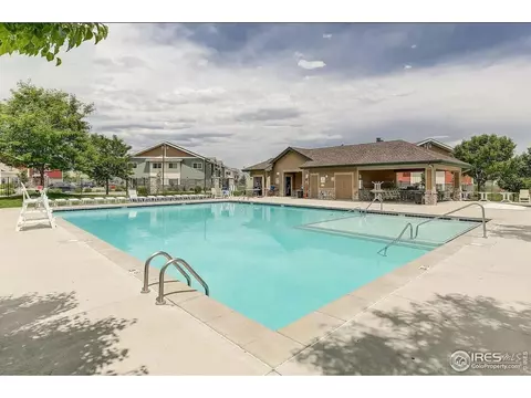 910 Birchdale Ct, Windsor, CO 80550 photo 19